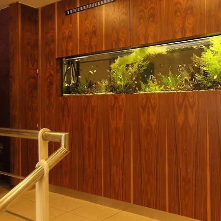 Hotell Amarilis 4*